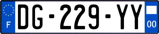 DG-229-YY