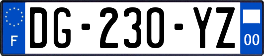DG-230-YZ