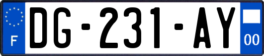 DG-231-AY