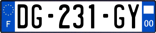 DG-231-GY