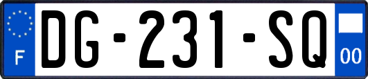 DG-231-SQ
