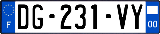 DG-231-VY