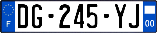 DG-245-YJ