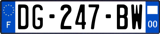 DG-247-BW