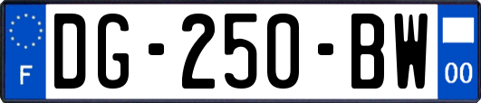 DG-250-BW