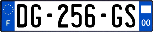 DG-256-GS