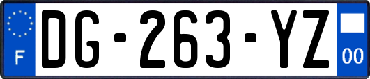 DG-263-YZ