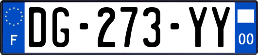 DG-273-YY
