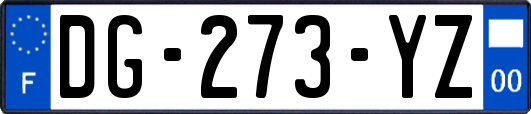 DG-273-YZ