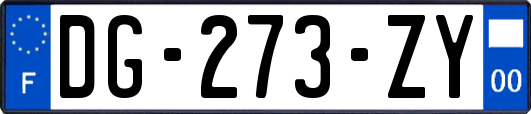 DG-273-ZY