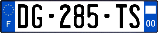 DG-285-TS