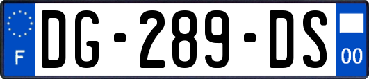 DG-289-DS