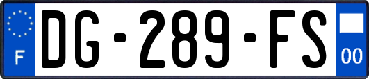 DG-289-FS