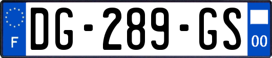 DG-289-GS