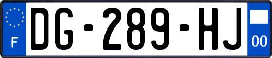 DG-289-HJ