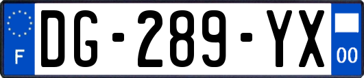 DG-289-YX