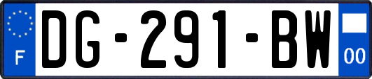 DG-291-BW