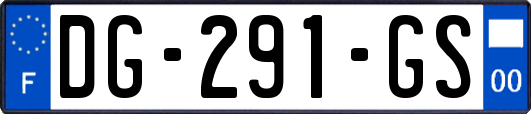 DG-291-GS