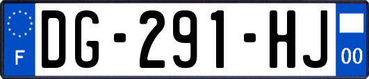 DG-291-HJ