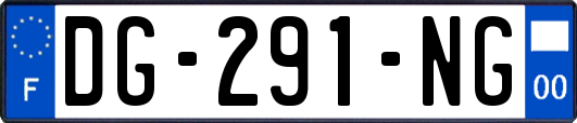 DG-291-NG