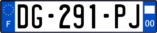DG-291-PJ