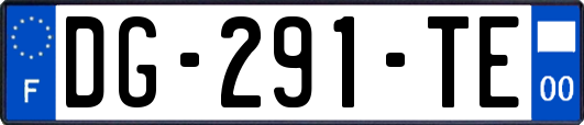DG-291-TE