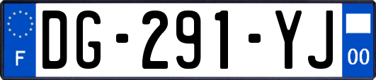 DG-291-YJ