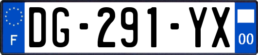 DG-291-YX