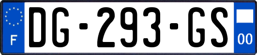 DG-293-GS