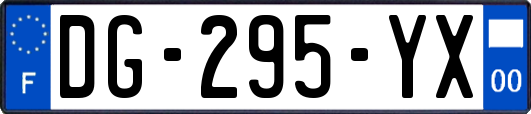 DG-295-YX