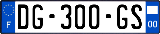 DG-300-GS