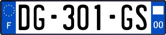 DG-301-GS