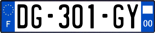 DG-301-GY