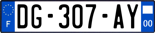 DG-307-AY