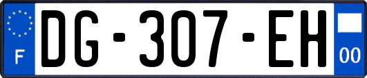 DG-307-EH