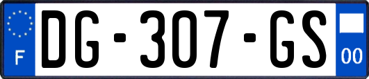 DG-307-GS