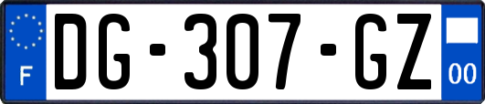 DG-307-GZ