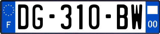 DG-310-BW