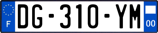 DG-310-YM