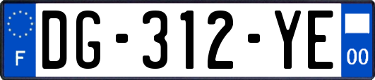 DG-312-YE