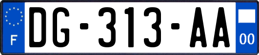 DG-313-AA