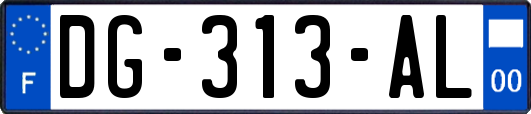 DG-313-AL