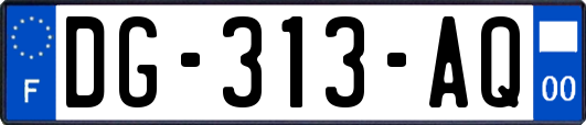 DG-313-AQ