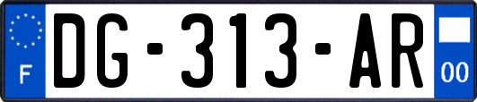 DG-313-AR