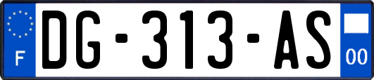 DG-313-AS