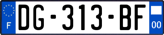 DG-313-BF