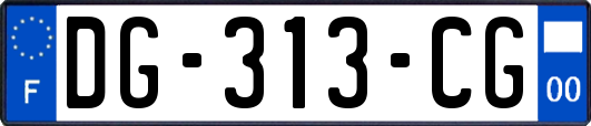 DG-313-CG