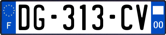 DG-313-CV