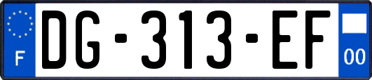 DG-313-EF