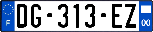 DG-313-EZ